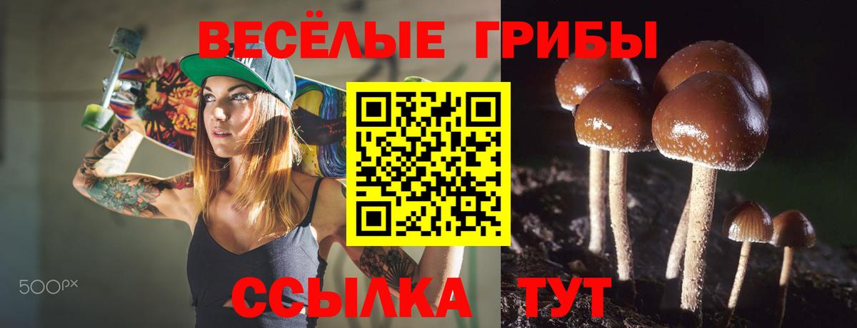 Прохладный  сколько стоит  Вход с VPN  Галлюциногенные грибы Psilocybine cubensis 